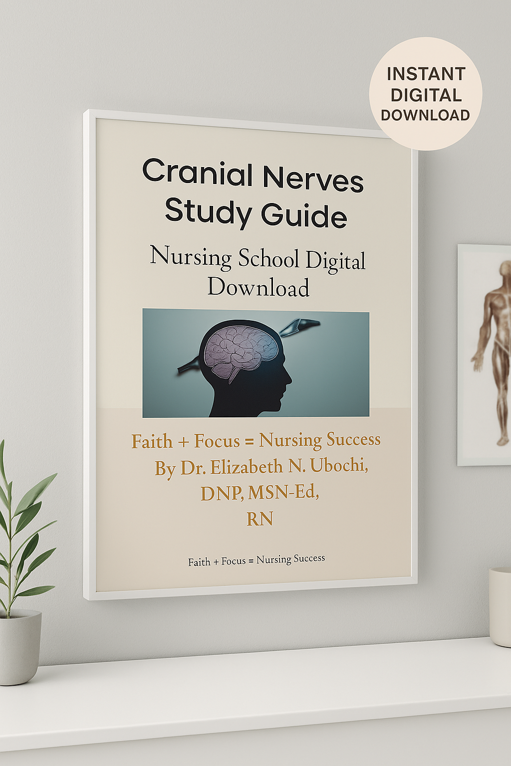 Cranial Nerves Study Guide — Digital Download
